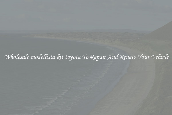 Wholesale modellista kit toyota To Repair And Renew Your Vehicle