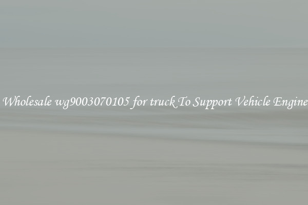 Wholesale wg9003070105 for truck To Support Vehicle Engine