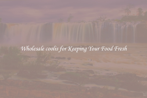 Wholesale coolis for Keeping Your Food Fresh