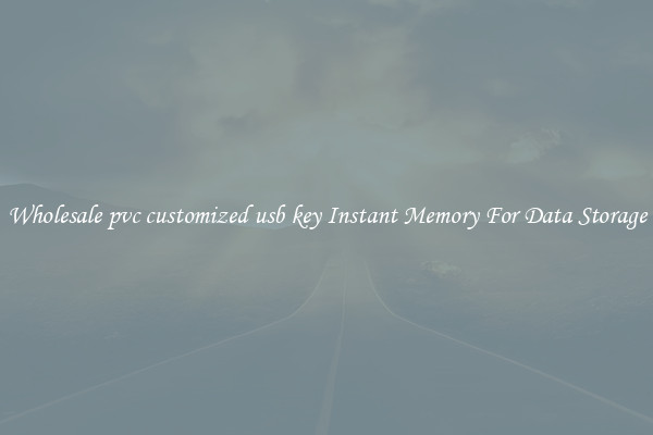 Wholesale pvc customized usb key Instant Memory For Data Storage