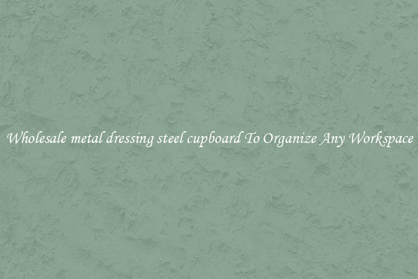 Wholesale metal dressing steel cupboard To Organize Any Workspace