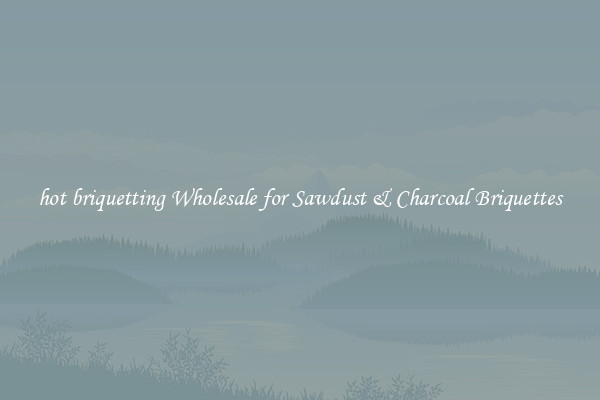  hot briquetting Wholesale for Sawdust & Charcoal Briquettes 