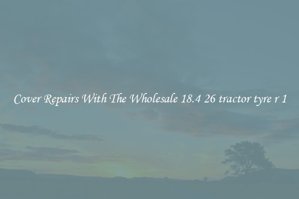  Cover Repairs With The Wholesale 18.4 26 tractor tyre r 1 