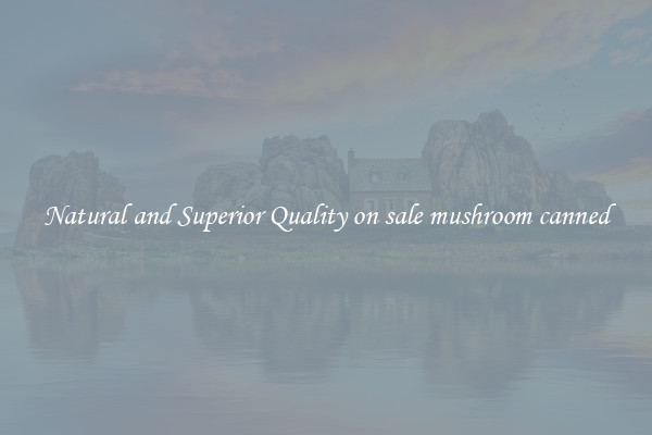 Natural and Superior Quality on sale mushroom canned