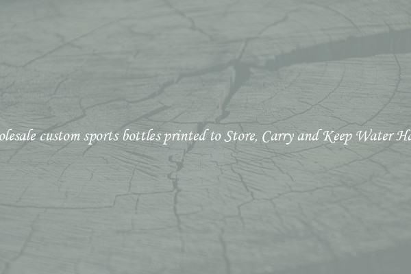 Wholesale custom sports bottles printed to Store, Carry and Keep Water Handy