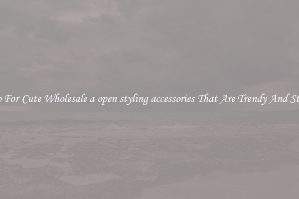 Shop For Cute Wholesale a open styling accessories That Are Trendy And Stylish