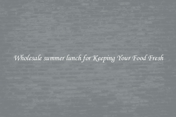Wholesale summer lunch for Keeping Your Food Fresh