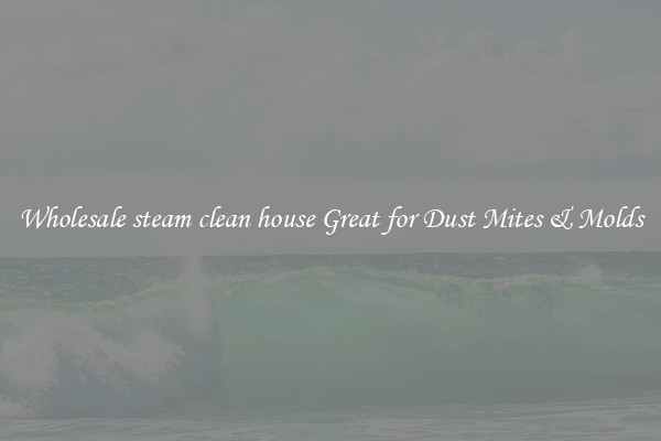 Wholesale steam clean house Great for Dust Mites & Molds