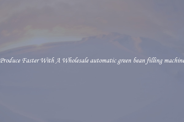 Produce Faster With A Wholesale automatic green bean filling machine