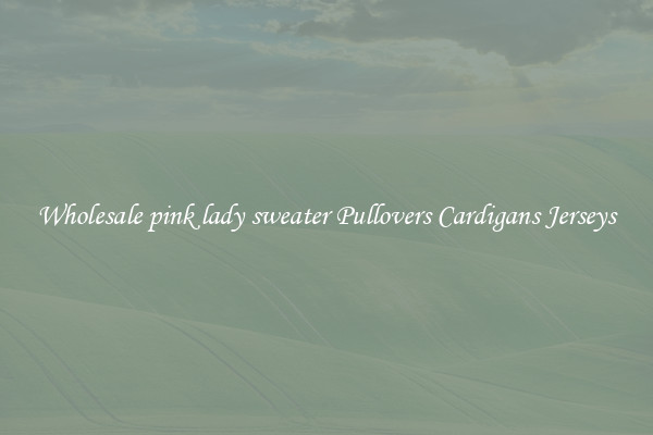 Wholesale pink lady sweater Pullovers Cardigans Jerseys