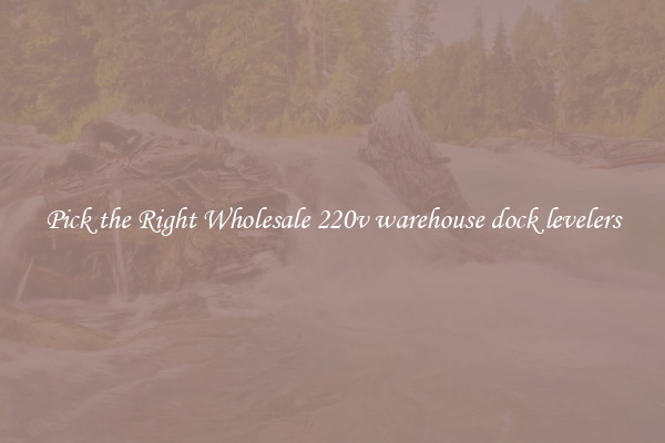 Pick the Right Wholesale 220v warehouse dock levelers