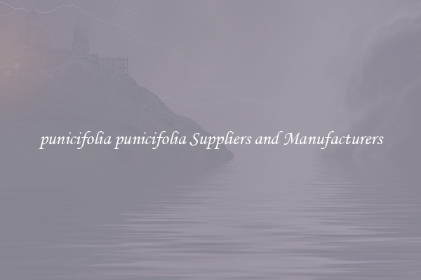 punicifolia punicifolia Suppliers and Manufacturers