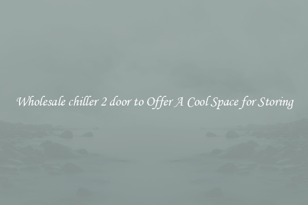 Wholesale chiller 2 door to Offer A Cool Space for Storing