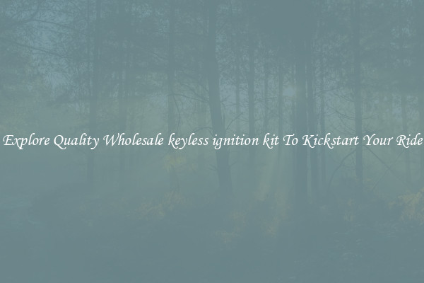 Explore Quality Wholesale keyless ignition kit To Kickstart Your Ride