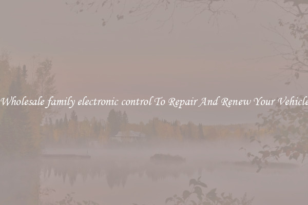 Wholesale family electronic control To Repair And Renew Your Vehicle