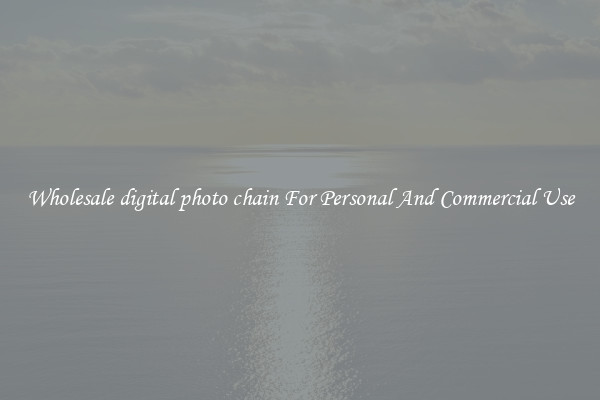 Wholesale digital photo chain For Personal And Commercial Use