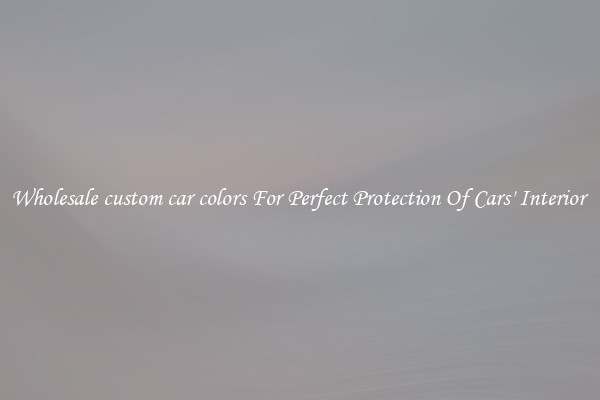 Wholesale custom car colors For Perfect Protection Of Cars' Interior 