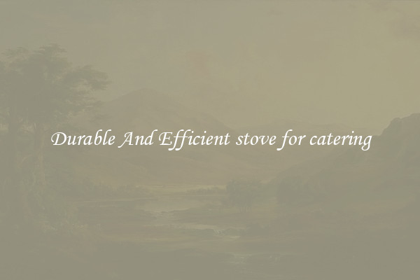 Durable And Efficient stove for catering