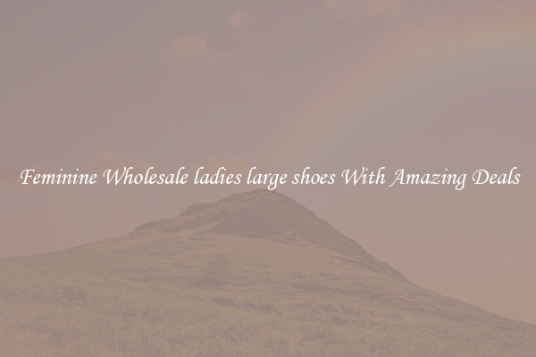 Feminine Wholesale ladies large shoes With Amazing Deals
