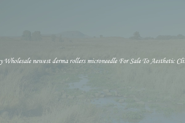 Buy Wholesale newest derma rollers microneedle For Sale To Aesthetic Clinics