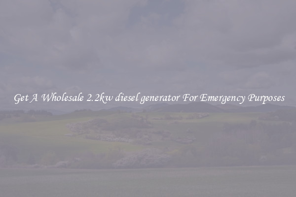 Get A Wholesale 2.2kw diesel generator For Emergency Purposes