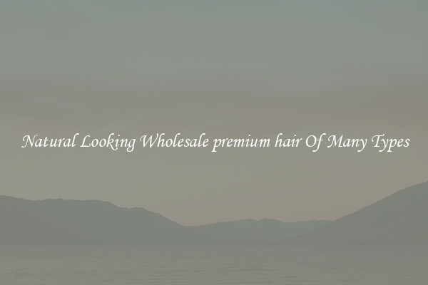 Natural Looking Wholesale premium hair Of Many Types