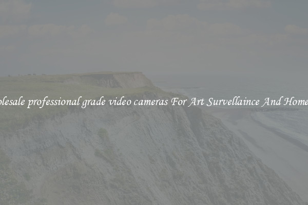 Wholesale professional grade video cameras For Art Survellaince And Home Use