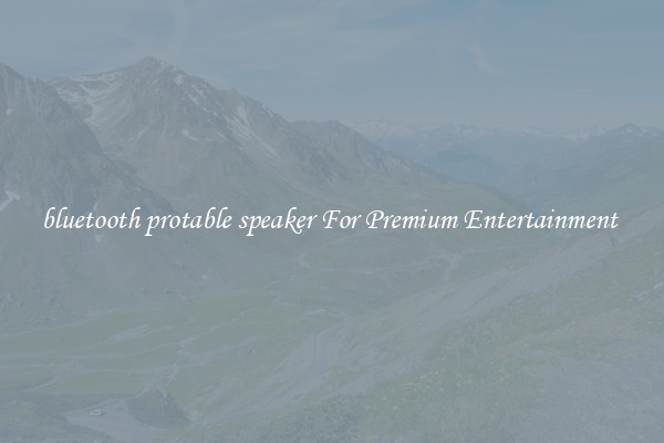bluetooth protable speaker For Premium Entertainment 
