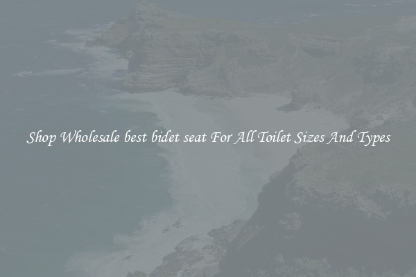 Shop Wholesale best bidet seat For All Toilet Sizes And Types