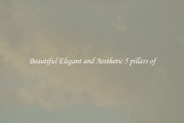 Beautiful Elegant and Aesthetic 5 pillars of